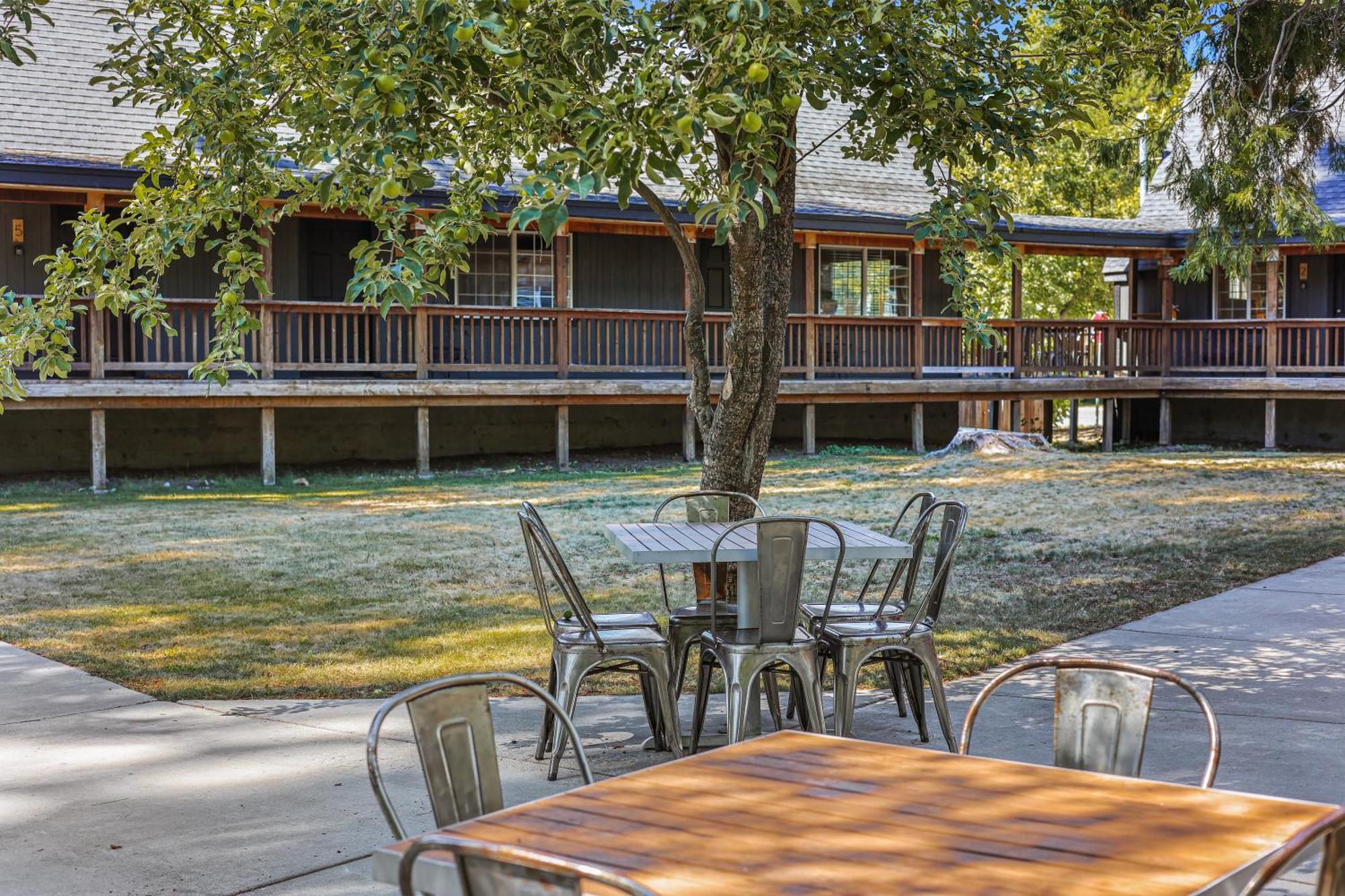 Shasta View Lodge McCloud Extérieur photo